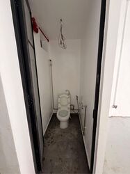 Hoot Kiam Mansion (D10), Shop House #560860131
